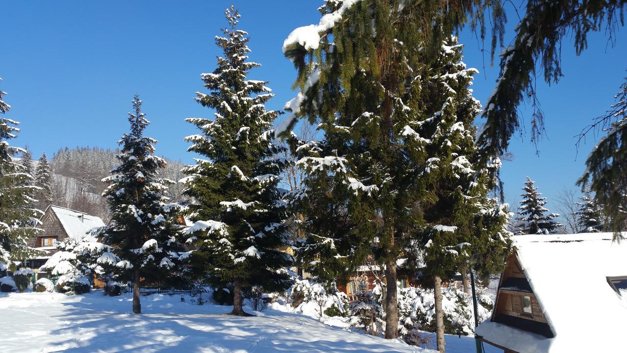זקופאנה Camping Harenda Pokoje Goscinne I Domki מראה חיצוני תמונה
